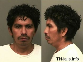 Jose  Acosta Morales Mugshot